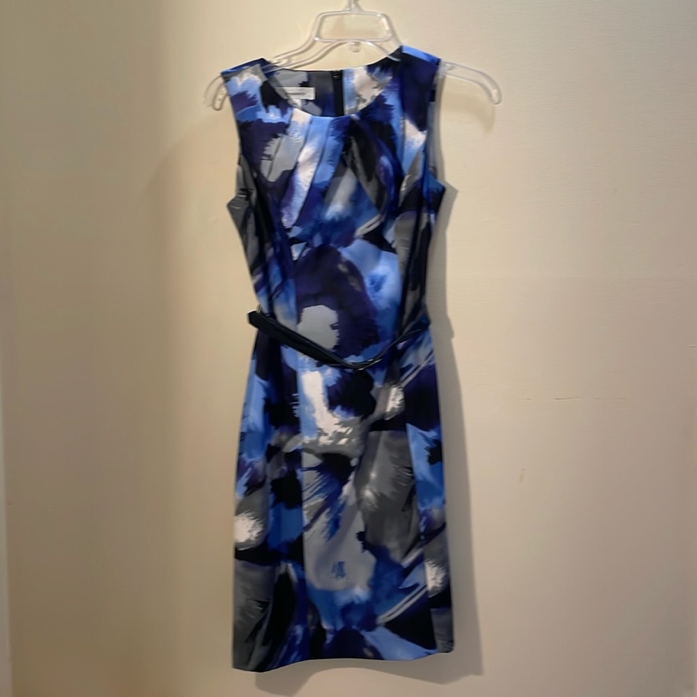 Dress Barn size: 4P striking dress